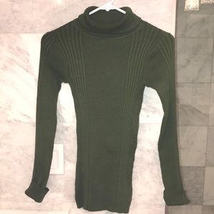 Derek Heart Green Fitted Turtleneck